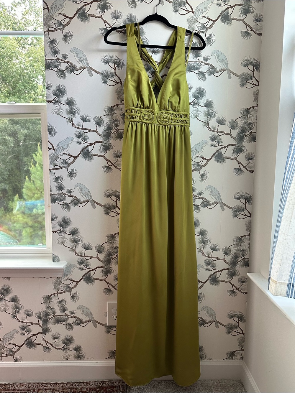 NWT Max & Cleo Apple Green Maxi Dress Size 10 Plunge Neck Formal Gown